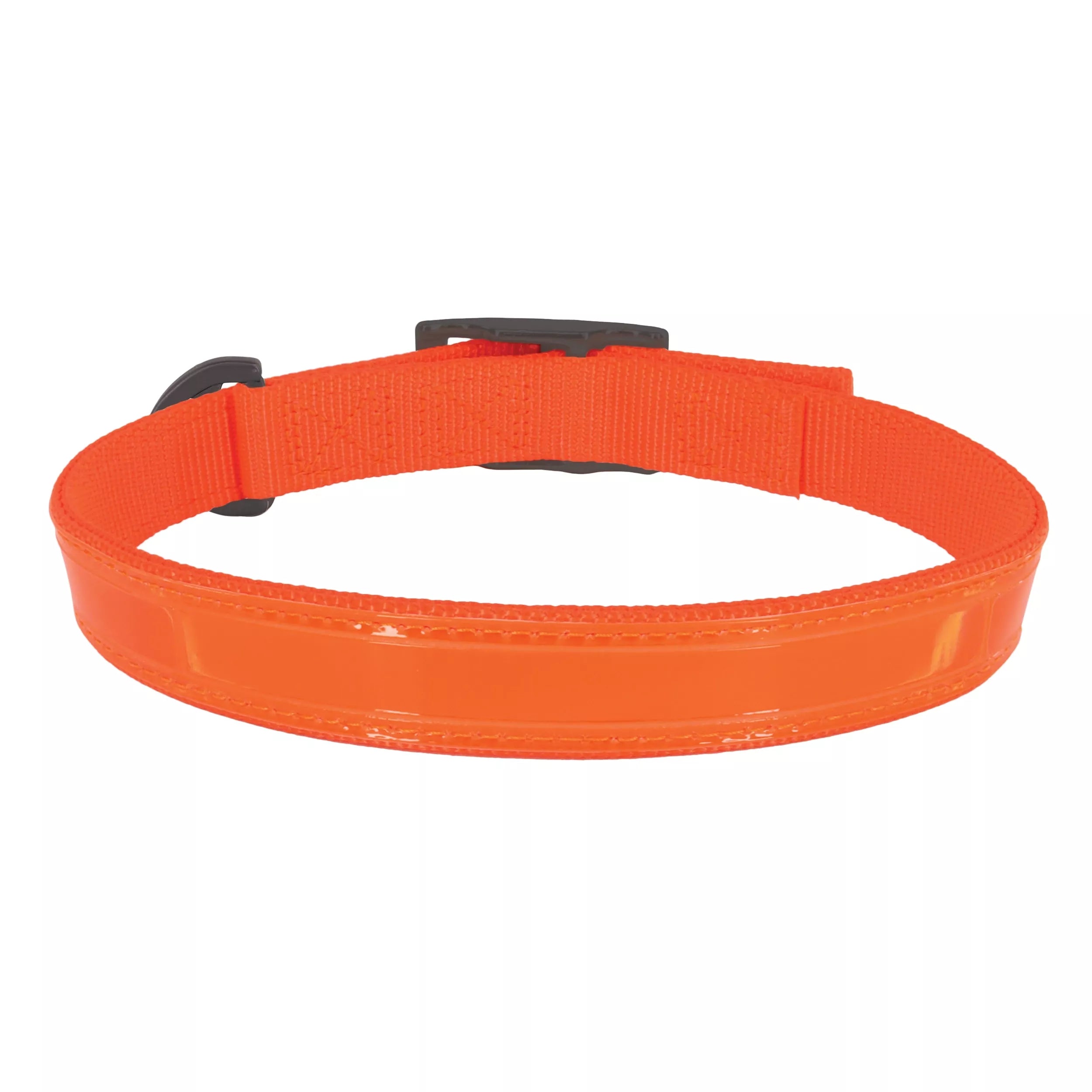 Water & Woods Double-Ply Reflective Hound Dog Collar