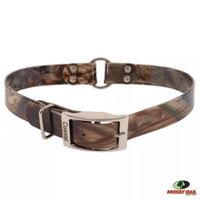 Water & Woods Waterproof Hound Dog Collar with Center Ring