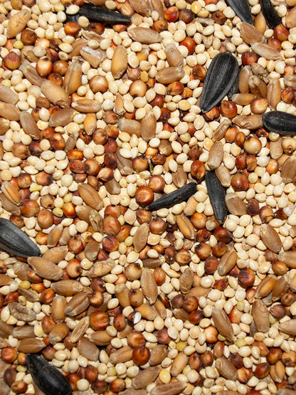 Western Delight - Wild Bird Value Mix