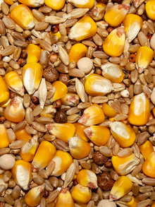 Winner's Cup Economy Whole Corn 11%