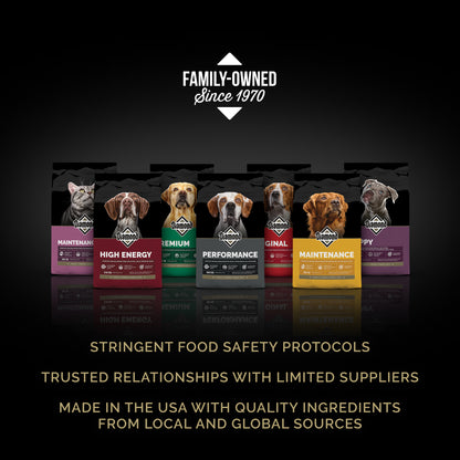 Diamond High Energy Sport Dog
