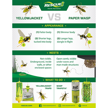 Rescue! Reusable YellowJacket Trap