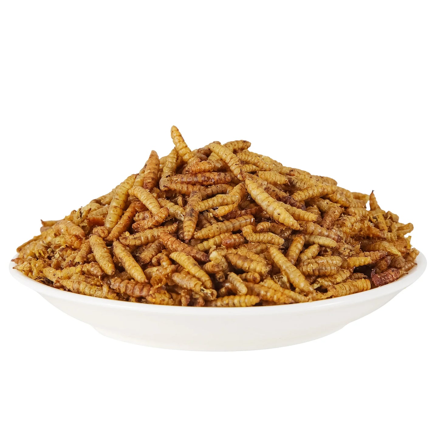 LuckyQWorms - Black Soldier Fly Larvae