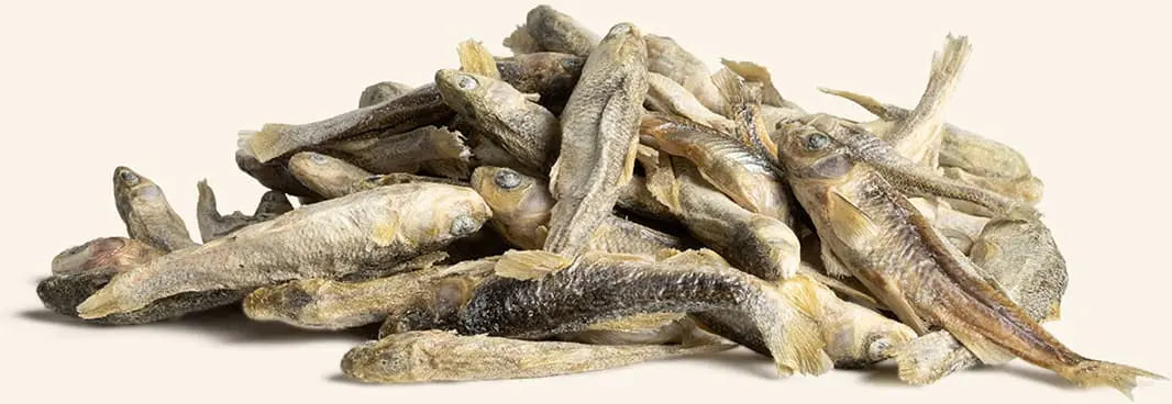 VE Dog - Minnows Freeze-Dried Raw
