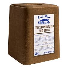 Trace Mineral Block - Ranch House