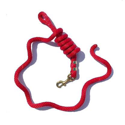 Poly Lead with Brass Plated Bolt Snap 5/8" x 9'