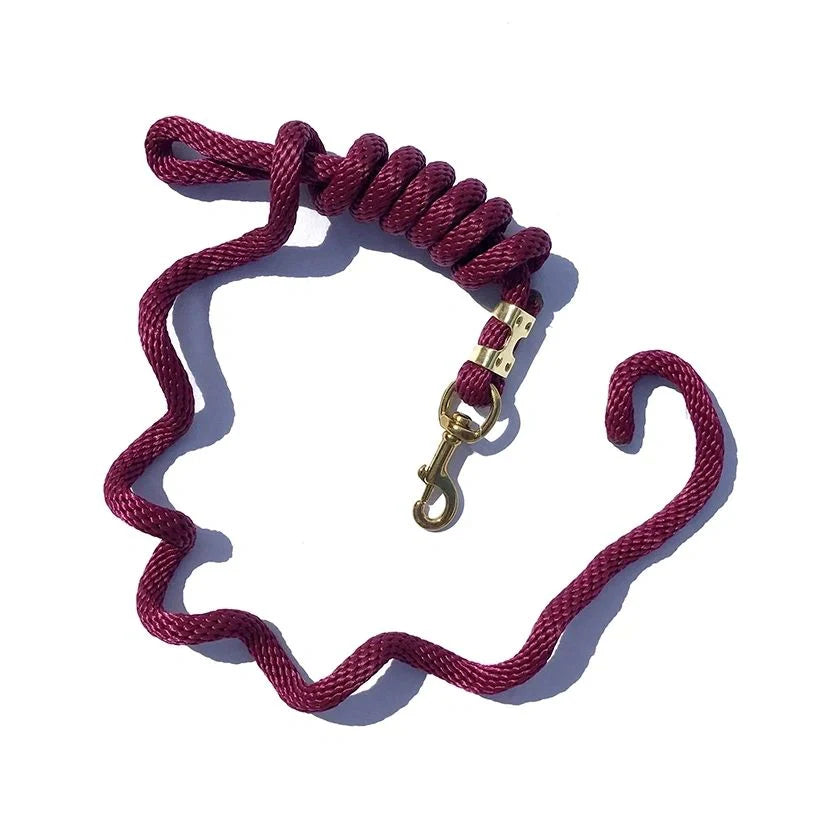 Poly Lead with Brass Plated Bolt Snap 5/8" x 9'