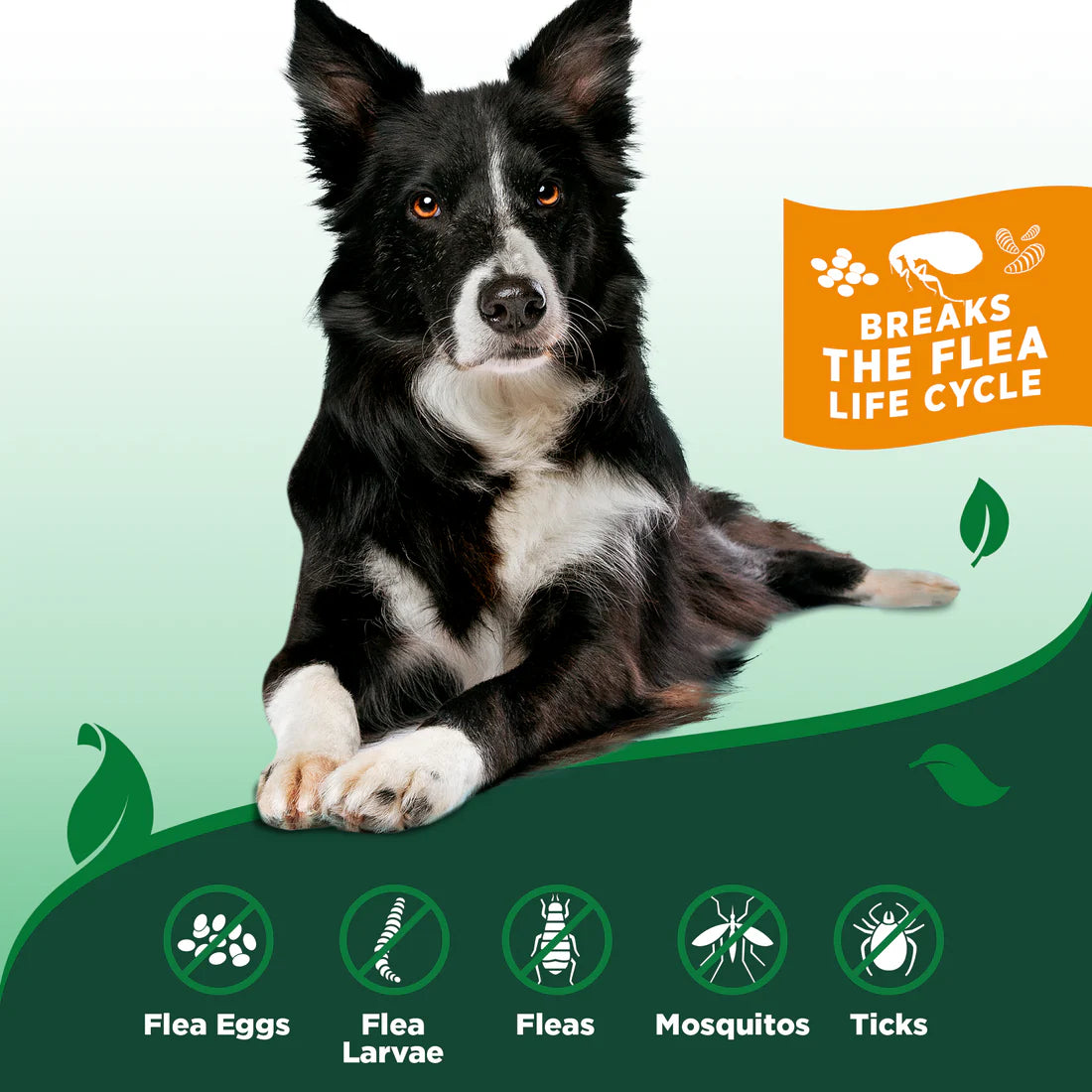 Vet's Best Flea & Tick Dog Home Spray