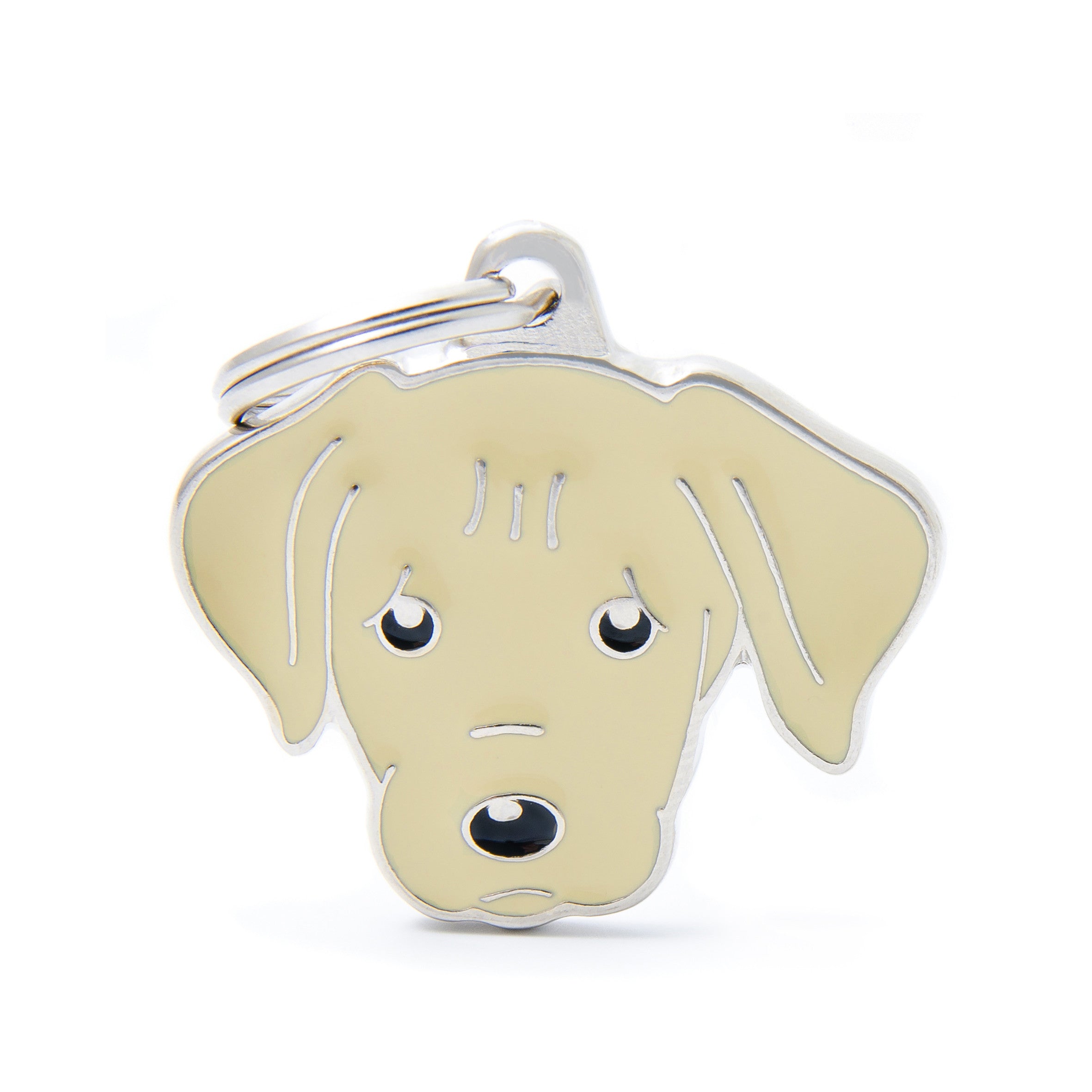 CREAM LABRADOR