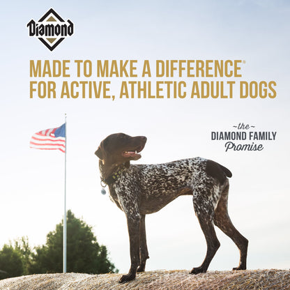 Diamond Premium Dog