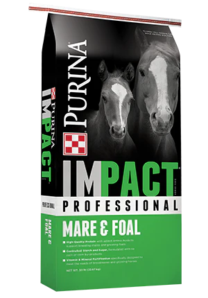 IMPACT PROFESSIONAL