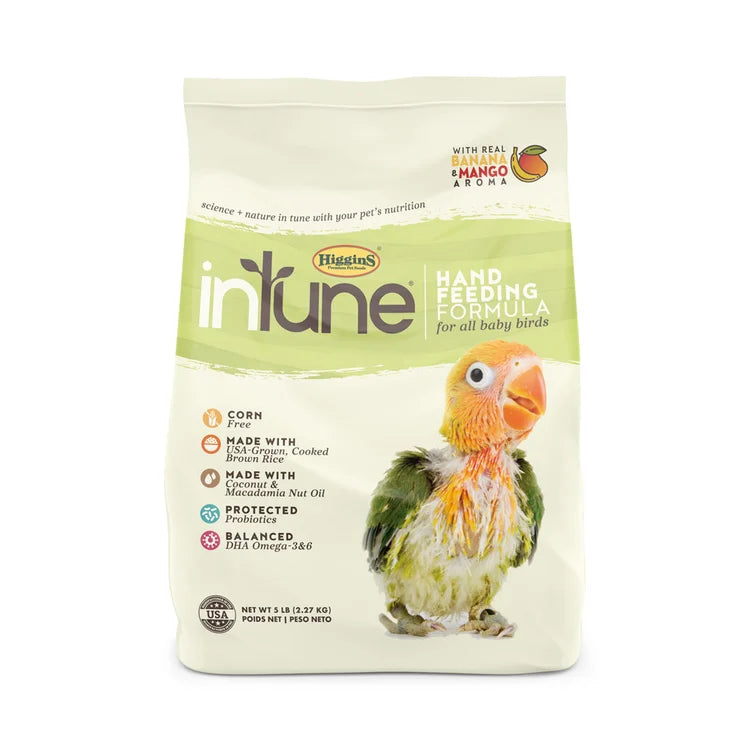 InTune Hand Feeding Formula