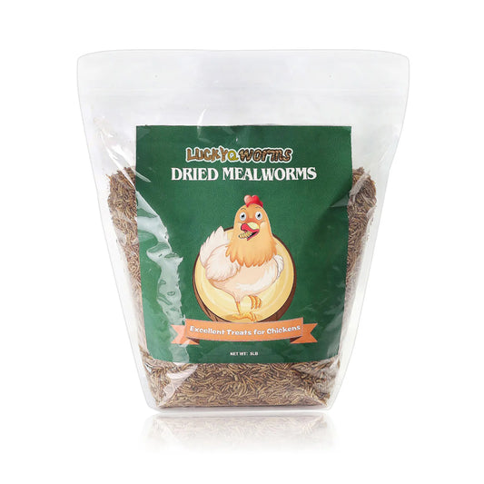 LuckyQWorms - Dried Mealworms