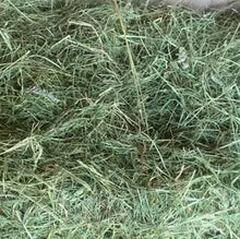 Meadow Grass