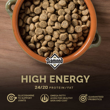 Diamond High Energy Sport Dog