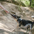 Scout & About - Rope Toy - Tug - S