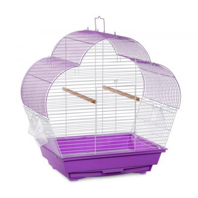 Prevue Palm Beach Budgie