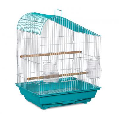 Prevue Palm Beach Budgie