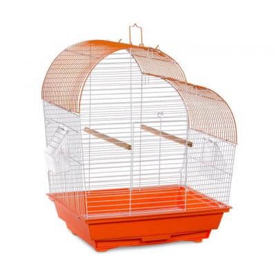 Prevue Palm Beach Budgie