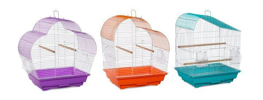 Prevue Palm Beach Budgie