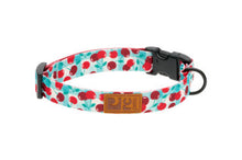 Eco Dog Collar