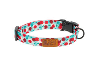 Eco Dog Collar