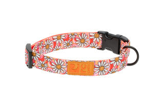 Eco Dog Collar