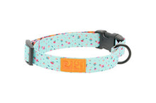 Eco Dog Collar