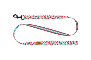 Eco Dog Leash, 3/4 in x 5 ft