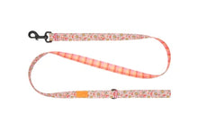 Eco Dog Leash, 3/4 in x 5 ft