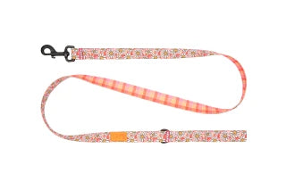 Eco Dog Leash, 3/4 in x 5 ft