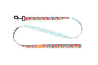 Eco Dog Leash, 3/4 in x 5 ft