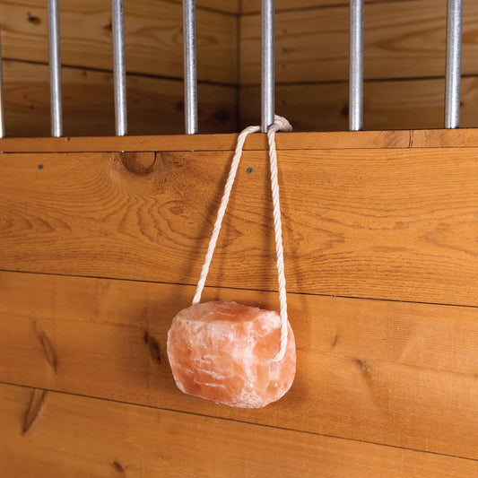 Himalayan Salt Rock w/ Rope