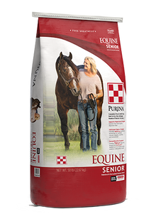 Equine Senior