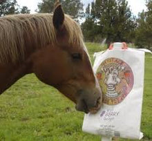 Haystack Horse Treat Wild Berry