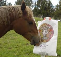 Haystack Horse Treat Wild Berry
