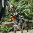 Scout & About - Rope Toy - Tug Ball - S