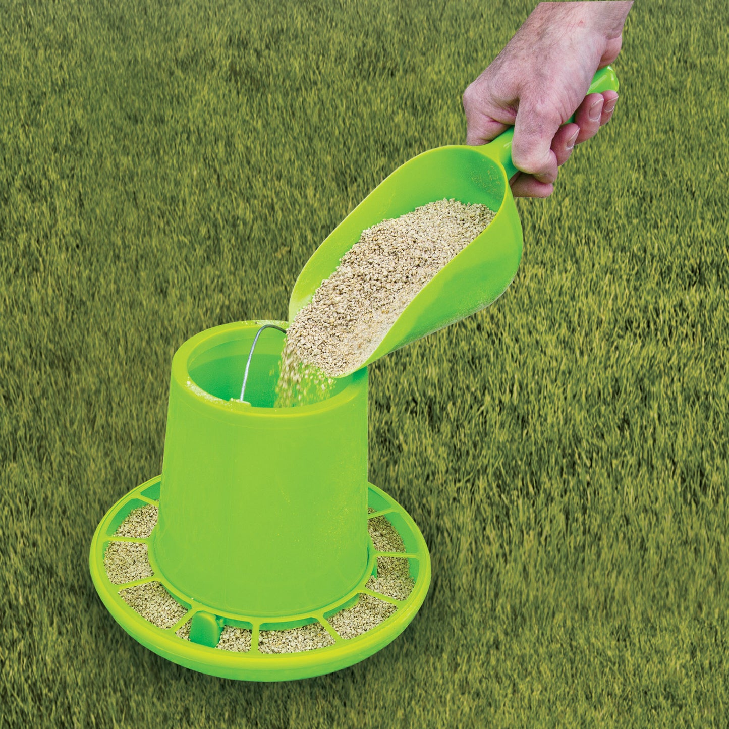 Chicken Food Scoop
