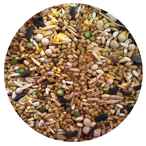 Star Milling Incredible Lay Feed