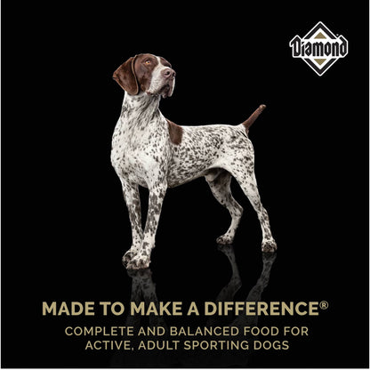 Diamond High Energy Sport Dog