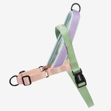 No-Pull SofterWalk Harness