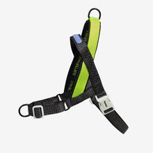 No-Pull SofterWalk Harness
